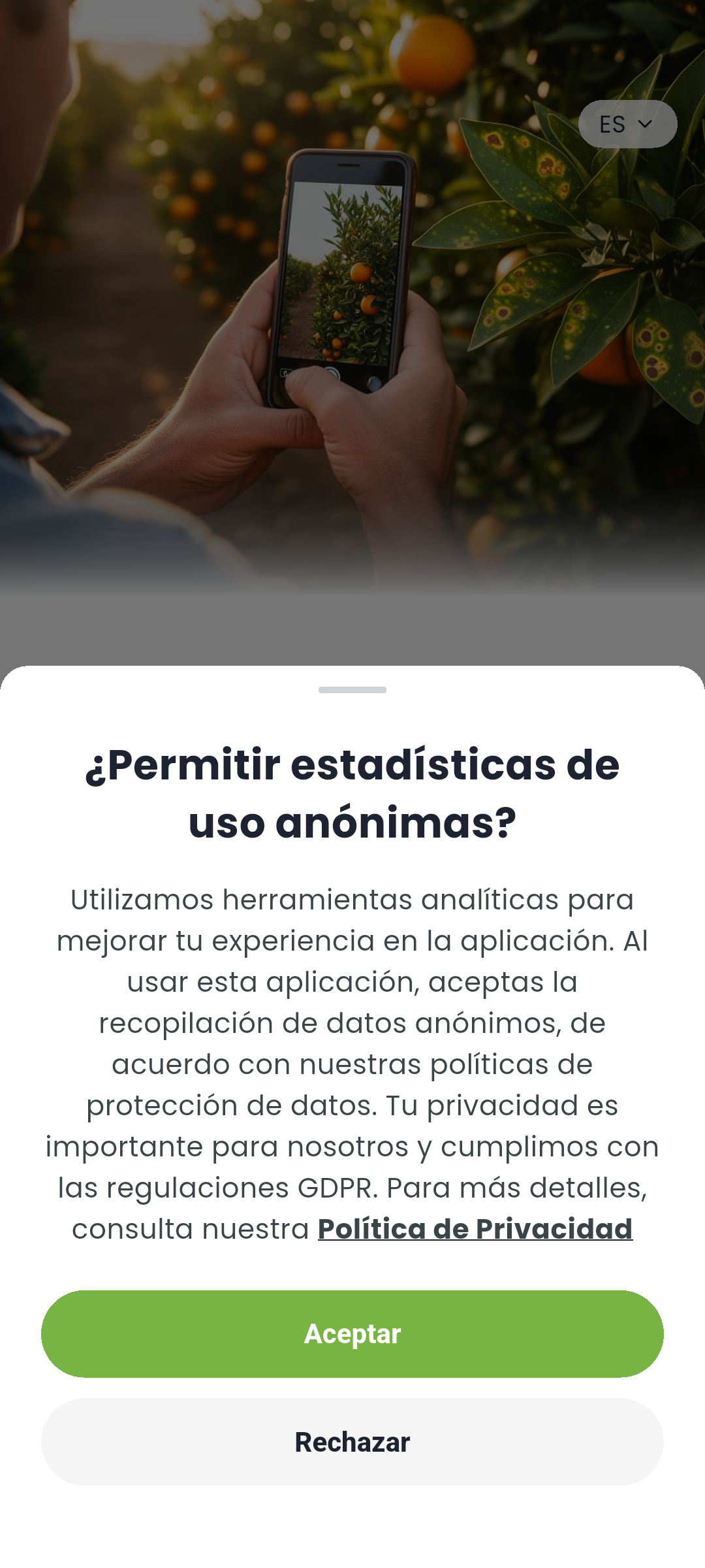 welcome__analytics_consent in es